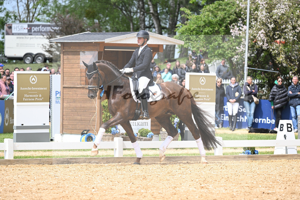 DSP Feliciano_11230745 | hf-fotografie - Realisiert mit Pictrs.com