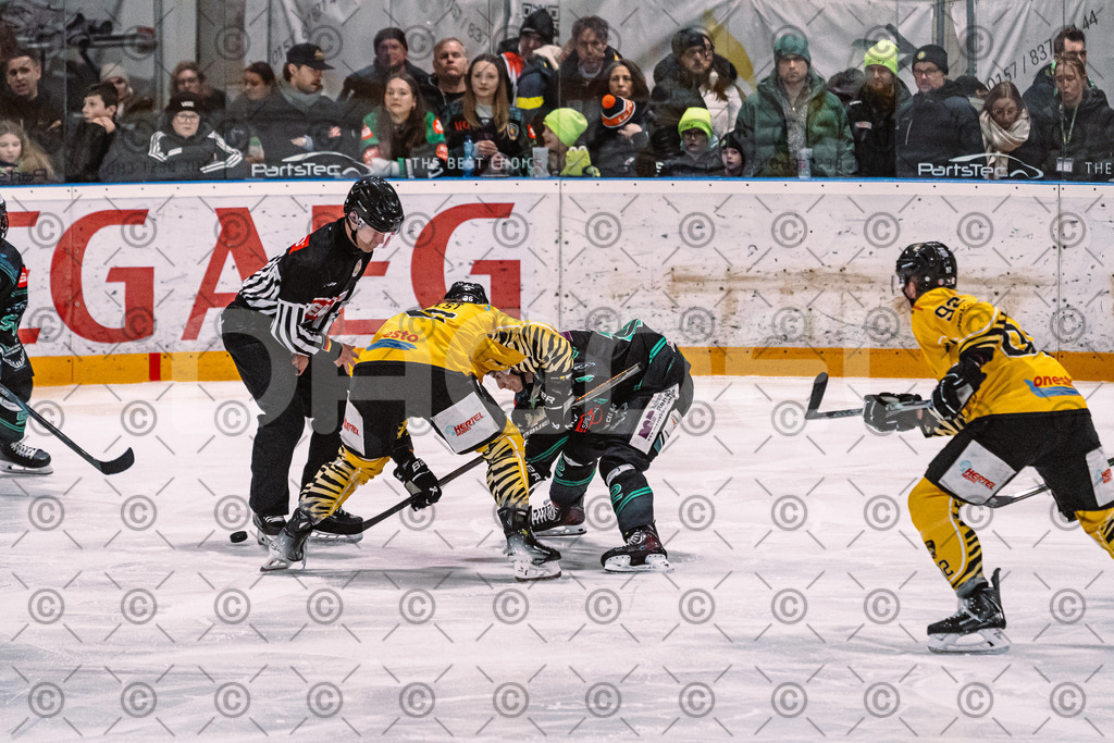 Alligators_vs_Bayreuth_16_01_2026-35 | Höchstadt Alligators Fotogalerie: Eishockey-Action aus Franken. Professionelle Spielfotos, Portraits & Stadionbilder zum Download. Jetzt entdecken! - Realisiert mit Pictrs.com