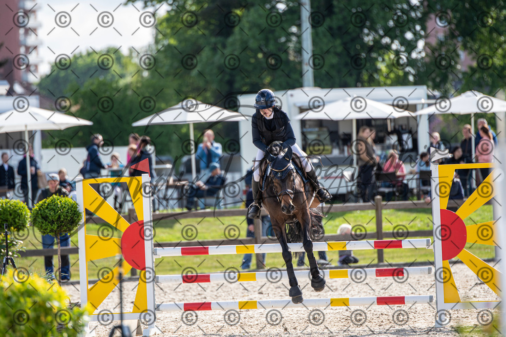 KPT_4624 | andre_photographic