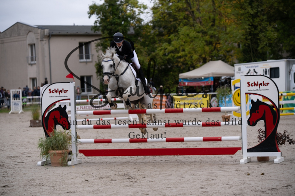 A7V09017 | Pferdefotograf