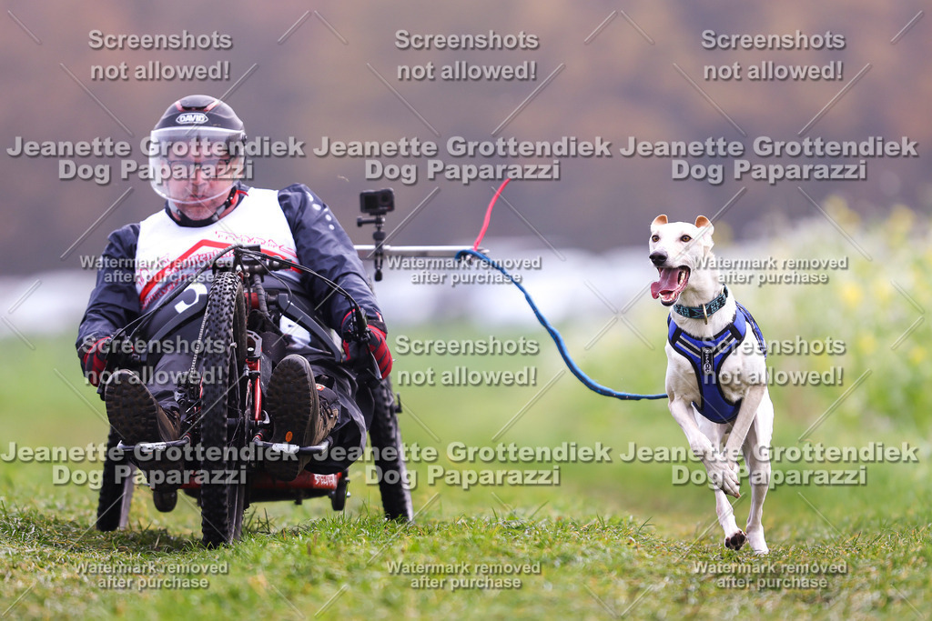 Dog Paparazzi - Visbeck 25 -295 | Dog Paparazzi Jeanette Grottendiek Fotografie & Videografie - Realisiert mit Pictrs.com