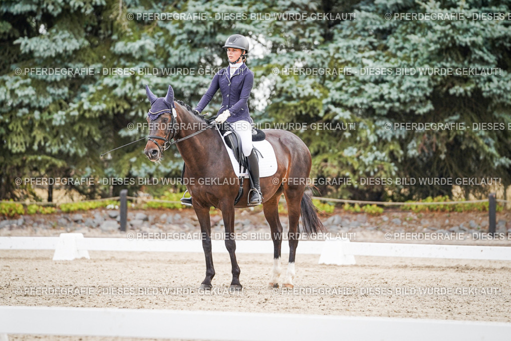 DSC01185 | Pferdegrafie