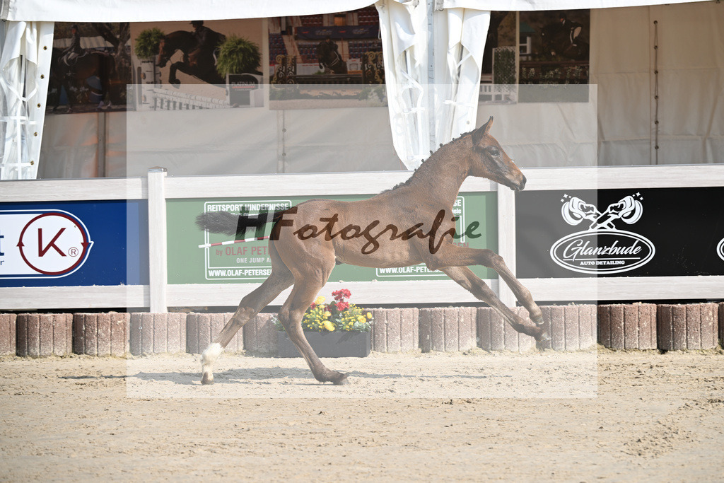 Sane x Fuerst Romancier_SF_Fritz_12250079 | hf-fotografie - Realisiert mit Pictrs.com