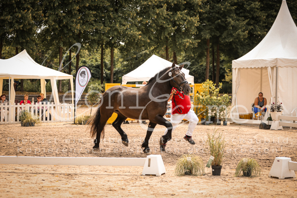 4.Sa00057 | Leoni Ertmer Photography - Realisiert mit Pictrs.com