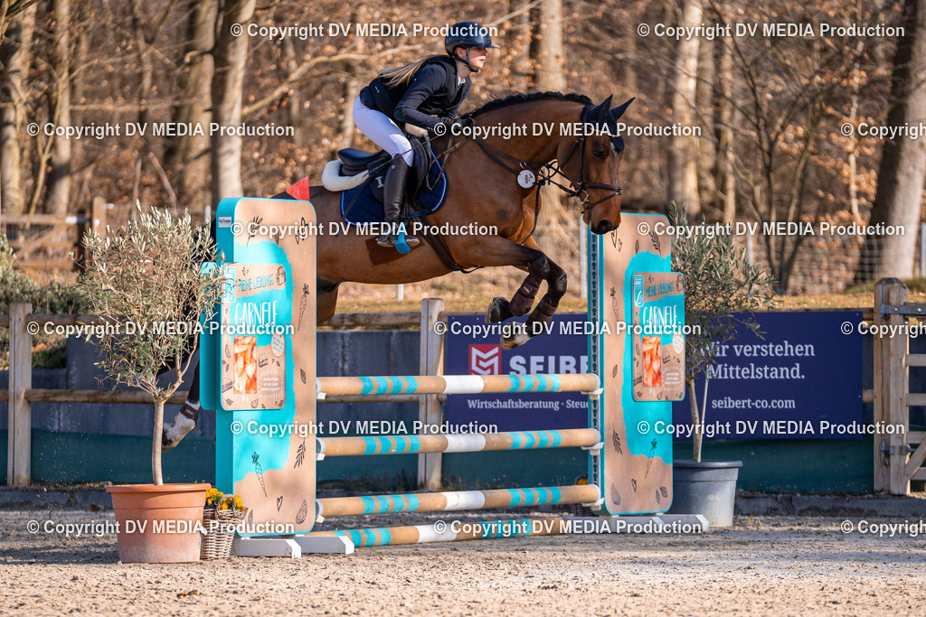 Kranichstein Tag 1-323 | dv-media-shop - Realisiert mit Pictrs.com