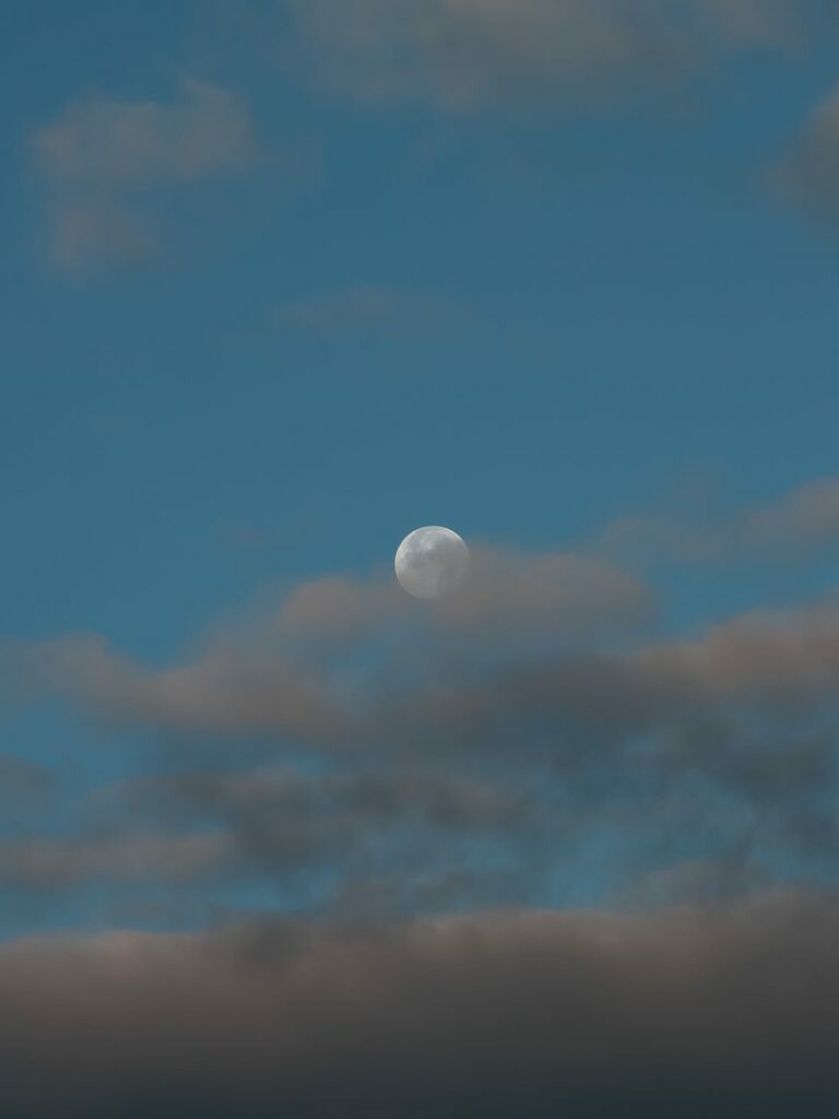 PSX_20221110_223305 | mtkfoto_ - Realisiert mit Pictrs.com