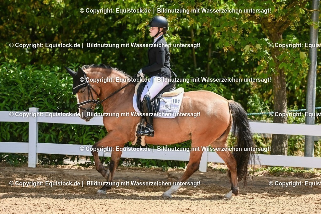 20230715_09_Dressur-WB_0353 | equistock