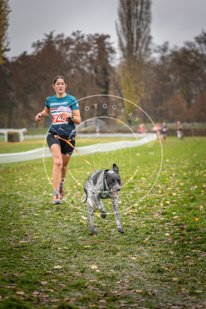 CaniXpix_DV3A9195 | Hundefotografie, Tierfotograf, Pfotenfotografie, Fotoshooting Hund, Hunde Portrait, Hundesport, Hundeportraits, Heideshooting, Hunde, Sportfotograf, Hundefotograf, Turnierhundsport, THS,  - Realisiert mit Pictrs.com