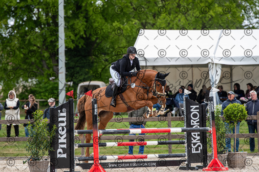 KPT_8736 | andre_photographic