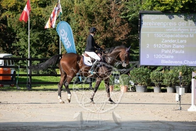 2B4A3797 | pixelfaenger - Realisiert mit Pictrs.com