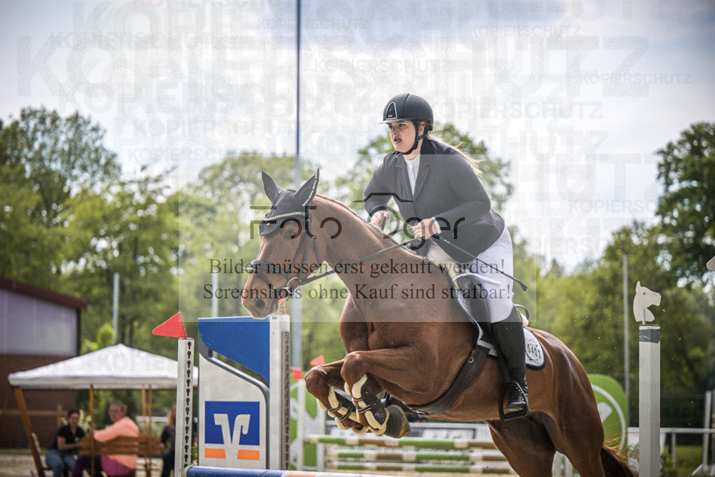 DOS_1006 | Entdecke hochwertige Reitturnierfotos von Foto Oger. Professionell, emotional und authentisch – jetzt Lieblingsmomente im Shop bestellen.Deutschlandweite Turnierfotografie. - Realisiert mit Pictrs.com