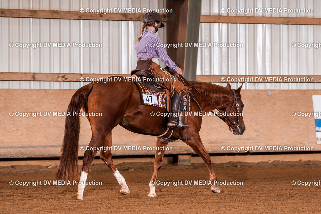 Balingen Tag 2-1160 | dv-media-shop - Realisiert mit Pictrs.com