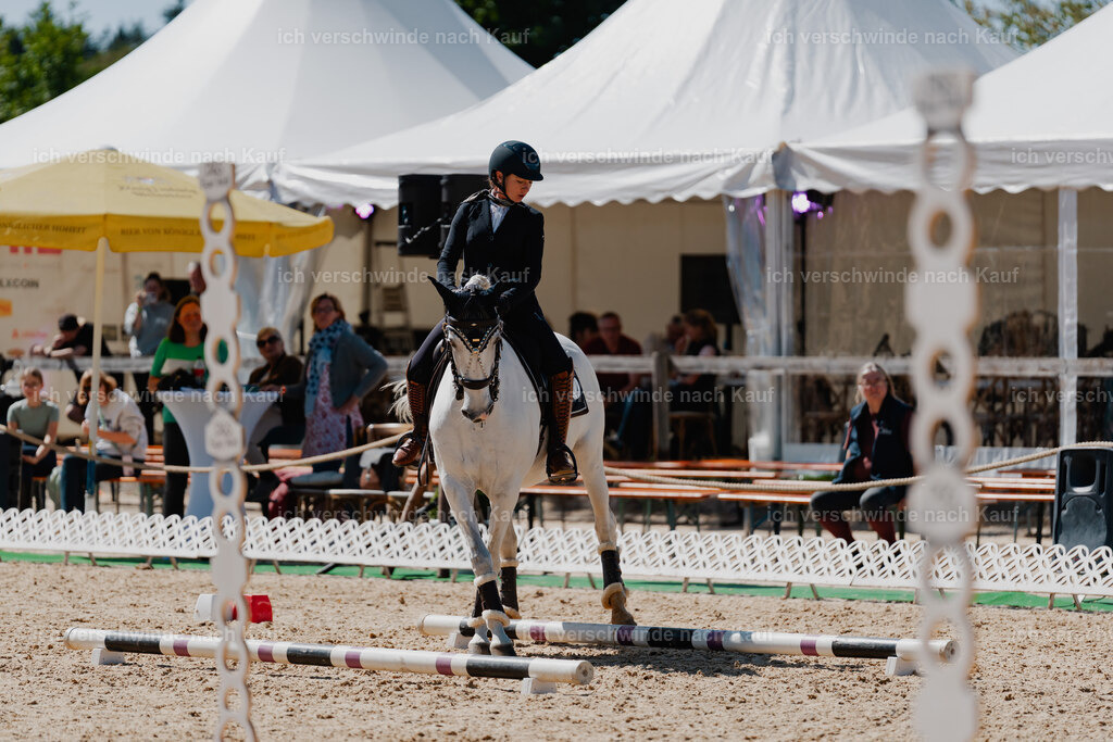 Steffi23_FHC2025-50 | working equitationturnier fotograf videograf stoibphotography marixx film working equitation deutschland reitsport turnierfotografie eventfotografie equestrian events