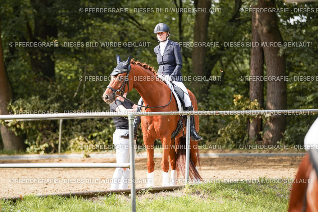 DSC03626 | Pferdegrafie