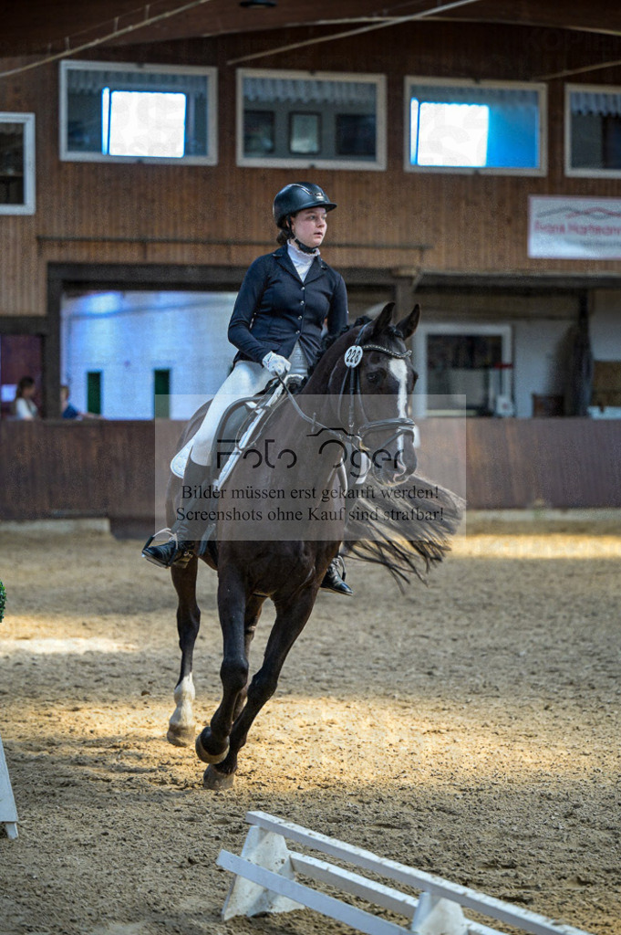 Reitturnier Voxtrup | Entdecke hochwertige Reitturnierfotos von Foto Oger. Professionell, emotional und authentisch – jetzt Lieblingsmomente im Shop bestellen.Deutschlandweite Turnierfotografie. - Realisiert mit Pictrs.com