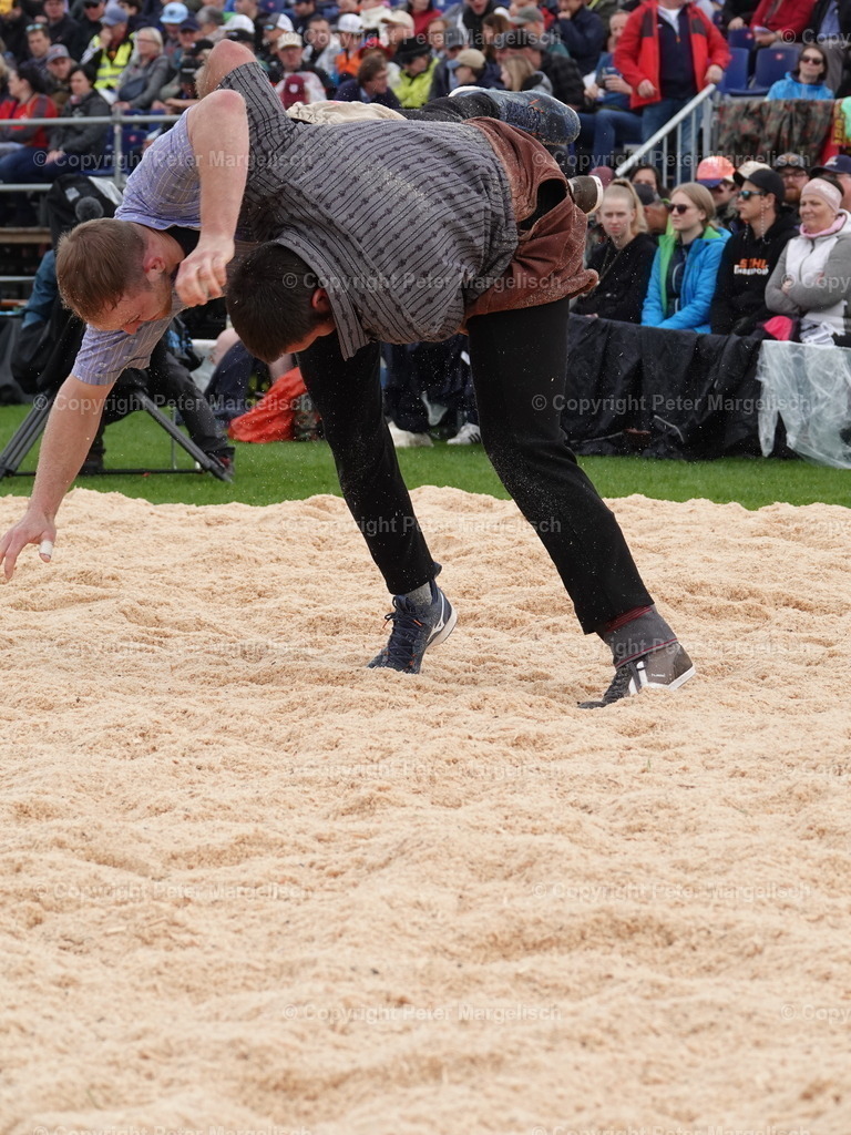 DSC06305 | Schwingen - Realisiert mit Pictrs.com