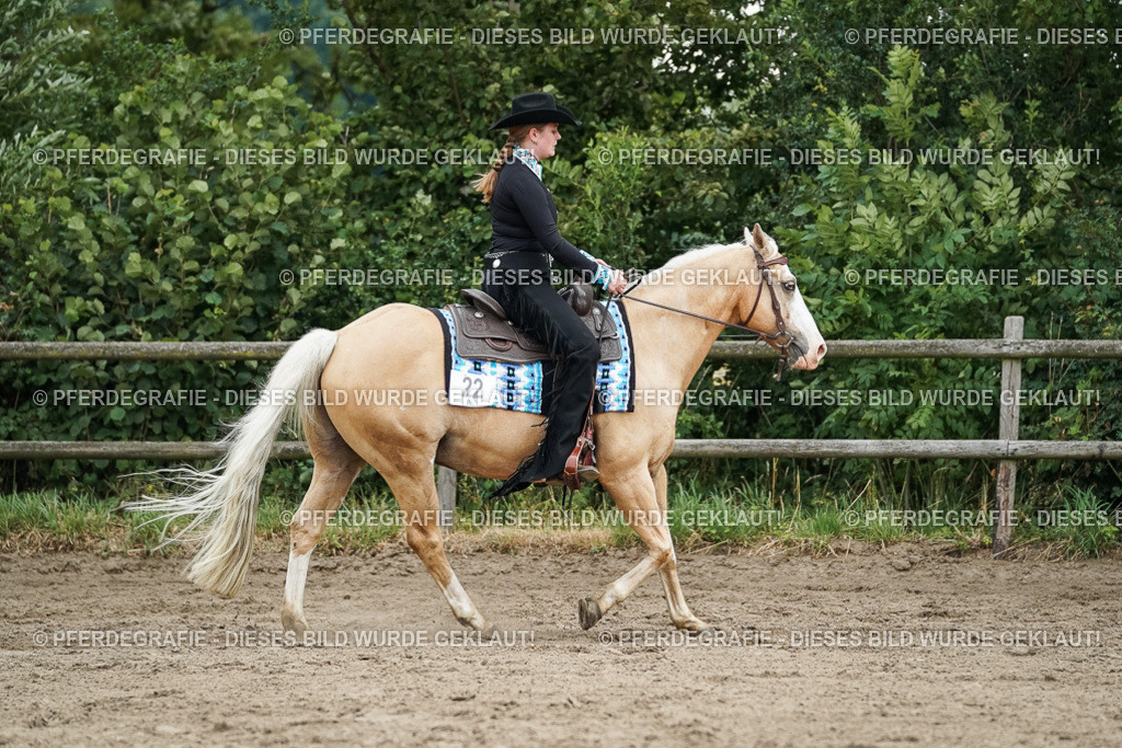 DSC03928 | Pferdegrafie