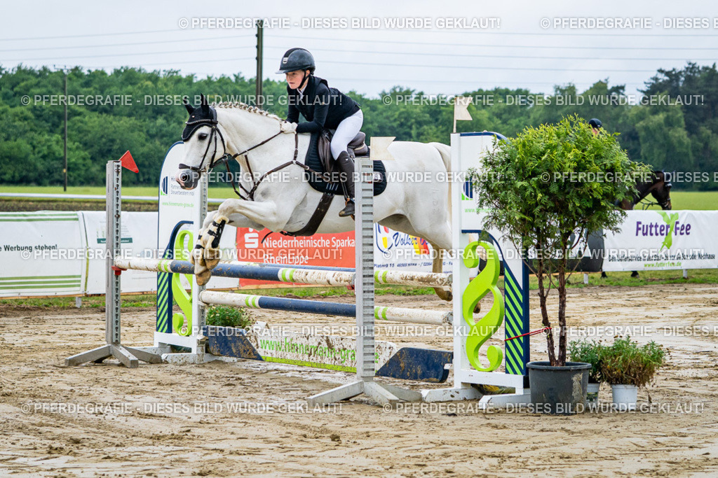 DSC01778 | Pferdegrafie