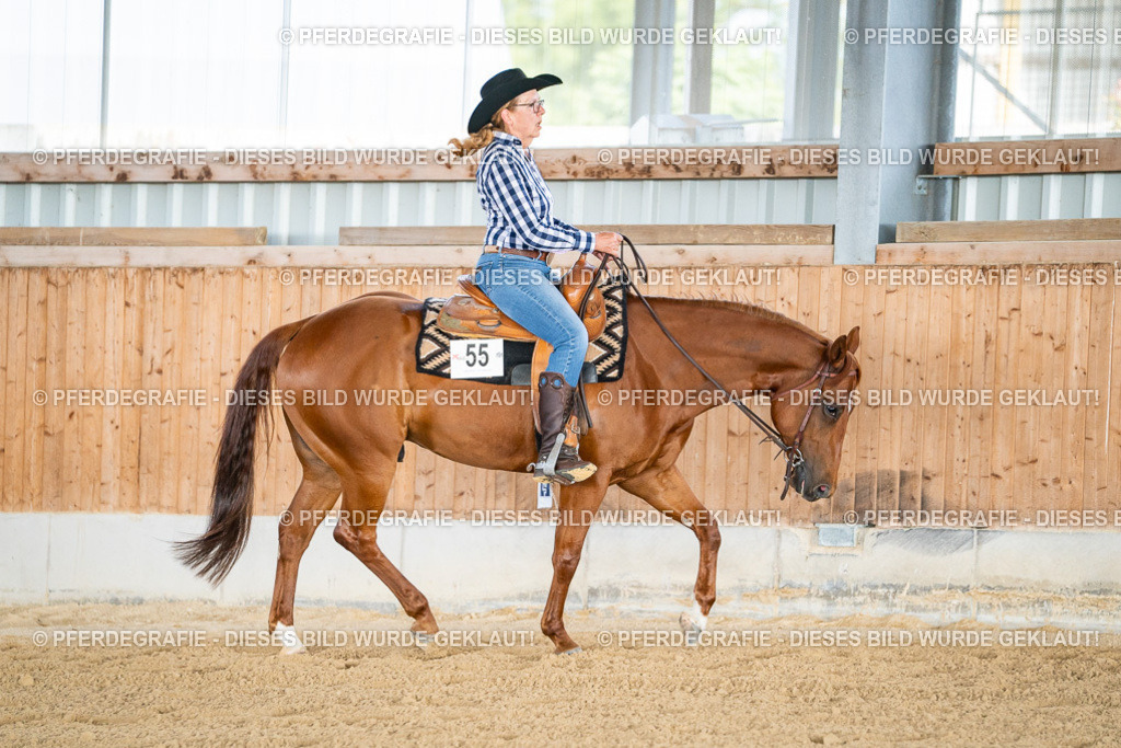 DSC08253 | Pferdegrafie