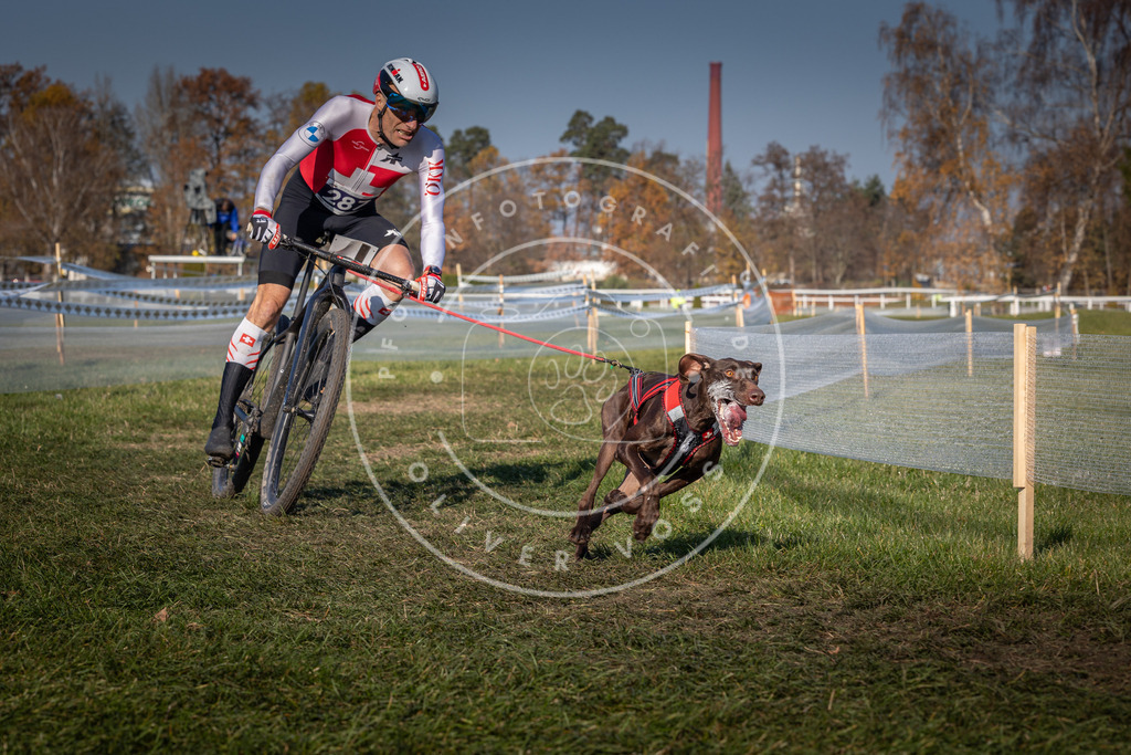 CaniXpix_0L8A6279 | Hundefotografie, Tierfotograf, Pfotenfotografie, Fotoshooting Hund, Hunde Portrait, Hundesport, Hundeportraits, Heideshooting, Hunde, Sportfotograf, Hundefotograf, Turnierhundsport, THS,  - Realisiert mit Pictrs.com