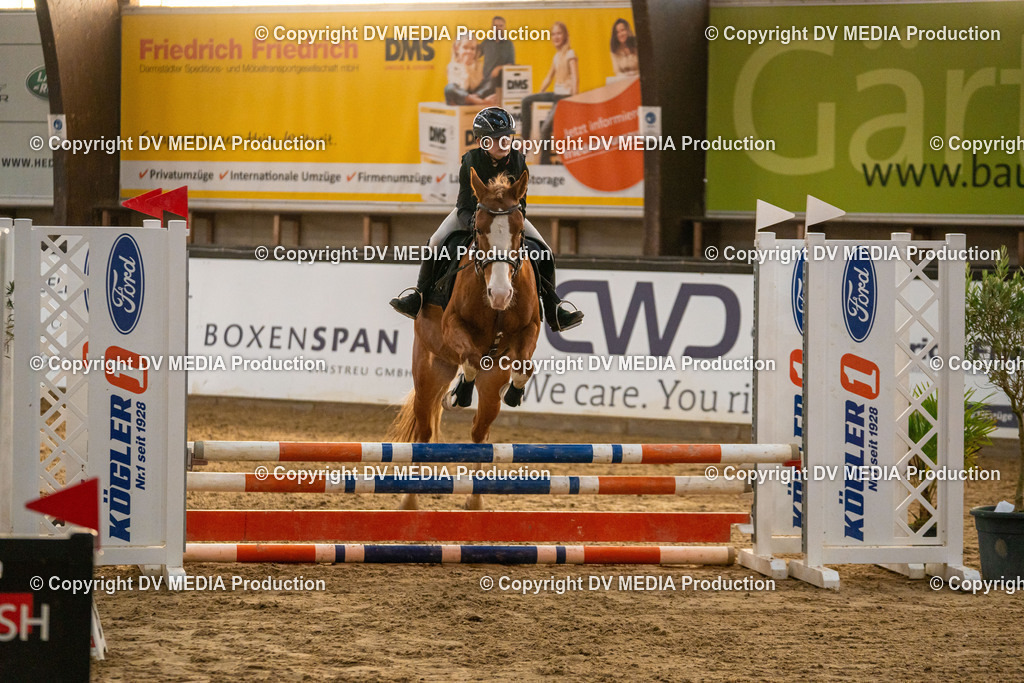 Kranichstein Tag 2-1067 | dv-media-shop - Realisiert mit Pictrs.com