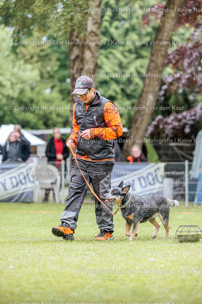 RO-Blumenthal-2026-Nickbest-Hundefotografie-1127 | Dein Hund! Dein Moment! Deine Erinnerungen! Hundefotografie in Bremen Blumenthal. Ich fange die besonderen Momente deines Vierbeiners ein – ob Indoor mit Blitzanlage oder in der freien Natur. Sicher dir dein Moment und dein Termin für eure Erinnerungen.
