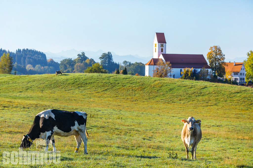 PS-Leupolz-2026-01 | Entdecke die größte Bildgalerie der Region mit Fotografien aus dem Allgäu, der Bodenseeregion, Oberschwaben, dem Donautal und der Schwäbischen Alb. Landschaften, Luftaufnahmen und Reisefotografie als Wandbild und Fotokunst. - Realisiert mit Pictrs.com