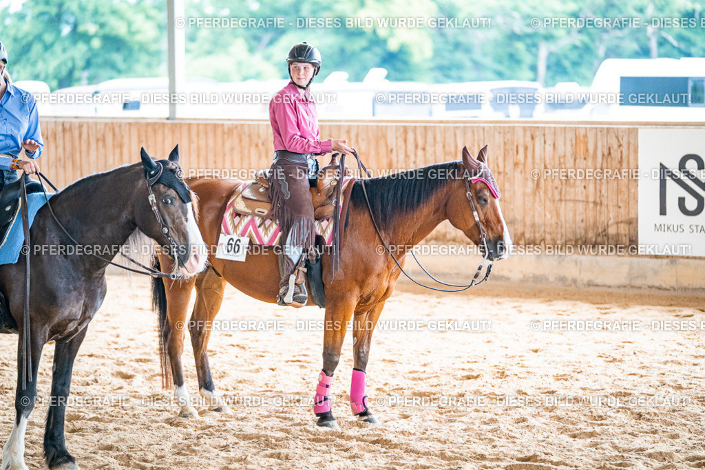 DSC09824 | Pferdegrafie