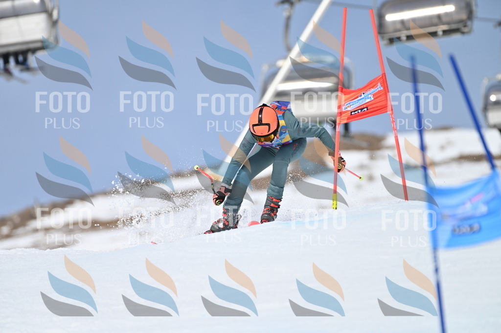 BGV_3787 | holidayphoto