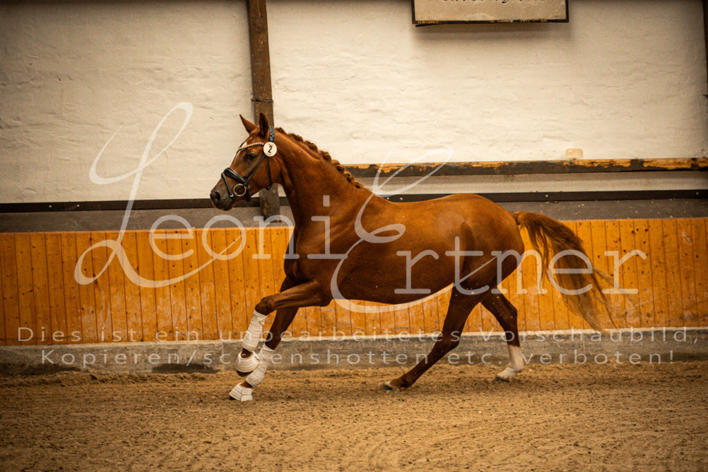 1FS_L00043 | Leoni Ertmer Photography - Realisiert mit Pictrs.com