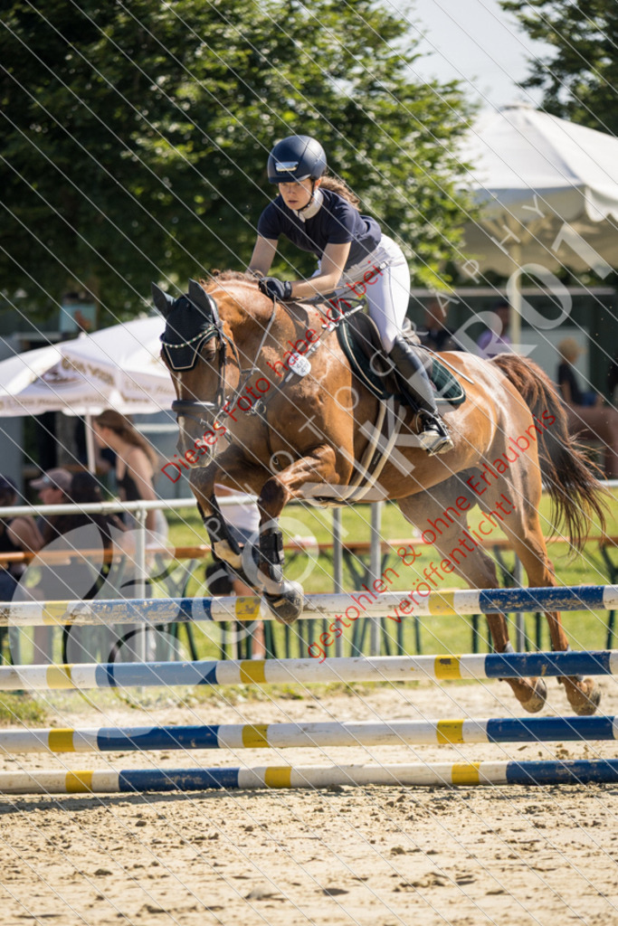 IMG_2851 | Sport-, Event- und Tierfotos in Profiqualität. Einfach auswählen, bestellen und herunterladen. Dein Moment – perfekt festgehalten.