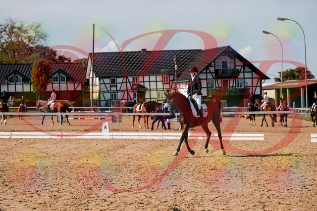 2026_10_03_Siefer-Hof_125541_Z63_62608460 | Professionelle Reitsport-, Turnier- und Eventfotografie von Robert Broda. Galerien mit ausgewählten und bearbeiteten Bildern direkt online ansehen und bestellen.