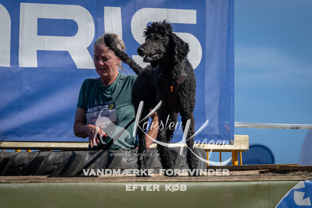 1118_ZZ91199 | kk-dogfotos