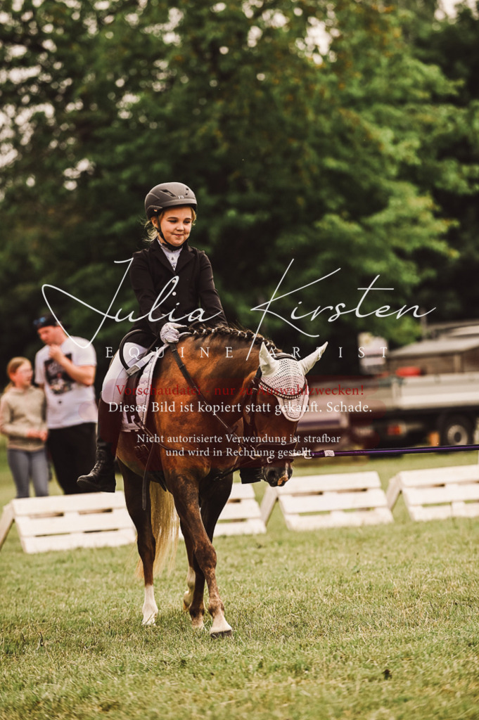 DSC_5217 | Pferde- und Turnierfotografie in Westsachsen. Pferdeportraits, Auftragszeichnungen und intuitive Kunst.
