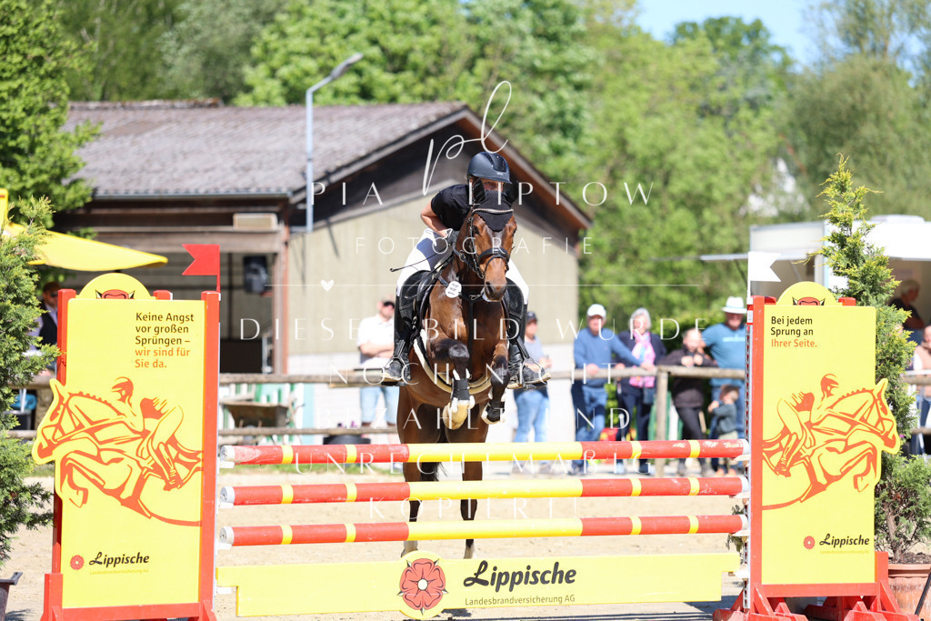 IMGS6979 | pl-fotografie