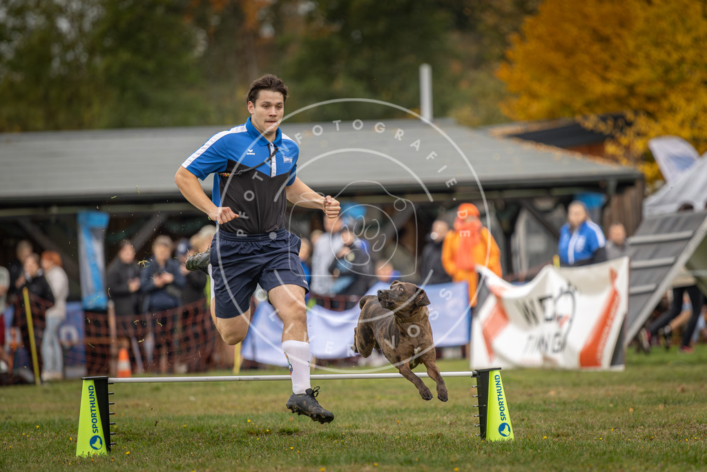 Pfotenfotografie_DV3A5112 | Hundefotografie, Tierfotograf, Pfotenfotografie, Fotoshooting Hund, Hunde Portrait, Hundesport, Hundeportraits, Heideshooting, Hunde, Sportfotograf, Hundefotograf, Turnierhundsport, THS,  - Realisiert mit Pictrs.com