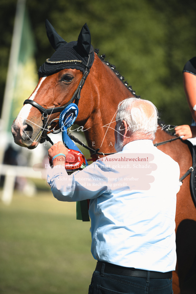 DSC_7321 | Pferde- und Turnierfotografie in Westsachsen. Pferdeportraits, Auftragszeichnungen und intuitive Kunst.
