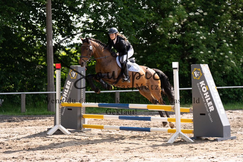 A7507310 | Turnier/Reitfotograf
