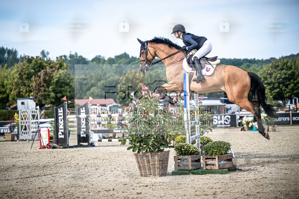 DOS_7776 | Entdecke hochwertige Reitturnierfotos von Foto Oger. Professionell, emotional und authentisch – jetzt Lieblingsmomente im Shop bestellen. - Realisiert mit Pictrs.com