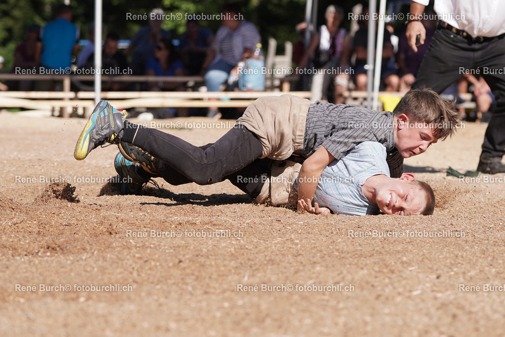 DSC09238 | René Burch leidenschaftlicher Fotograf aus Kerns in Obwalden.  Hier finden sie Sport, Landschaft und Natur Fotografie.
 - Realisiert mit Pictrs.com