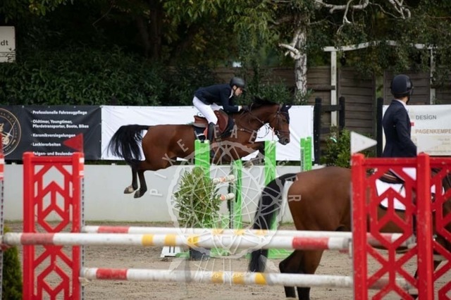 2B4A3547 | pixelfaenger - Realisiert mit Pictrs.com