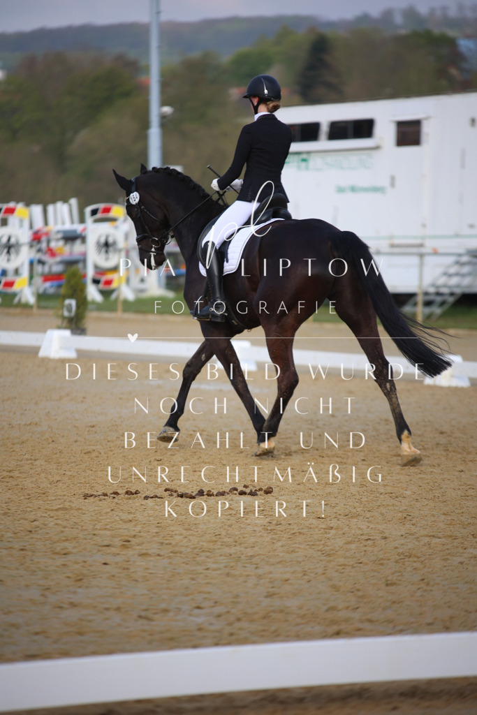 IMGT8845 | pl-fotografie