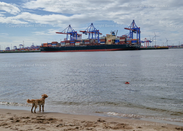 20240616_094402 | Hamburg Tagestour 16. Juni 2024 - Realized with Pictrs.com