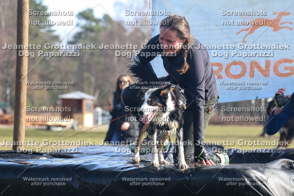 Dog Paparazzi - Strongdog North Mrz26-1156 | Dog Paparazzi Jeanette Grottendiek Fotografie & Videografie - Realisiert mit Pictrs.com