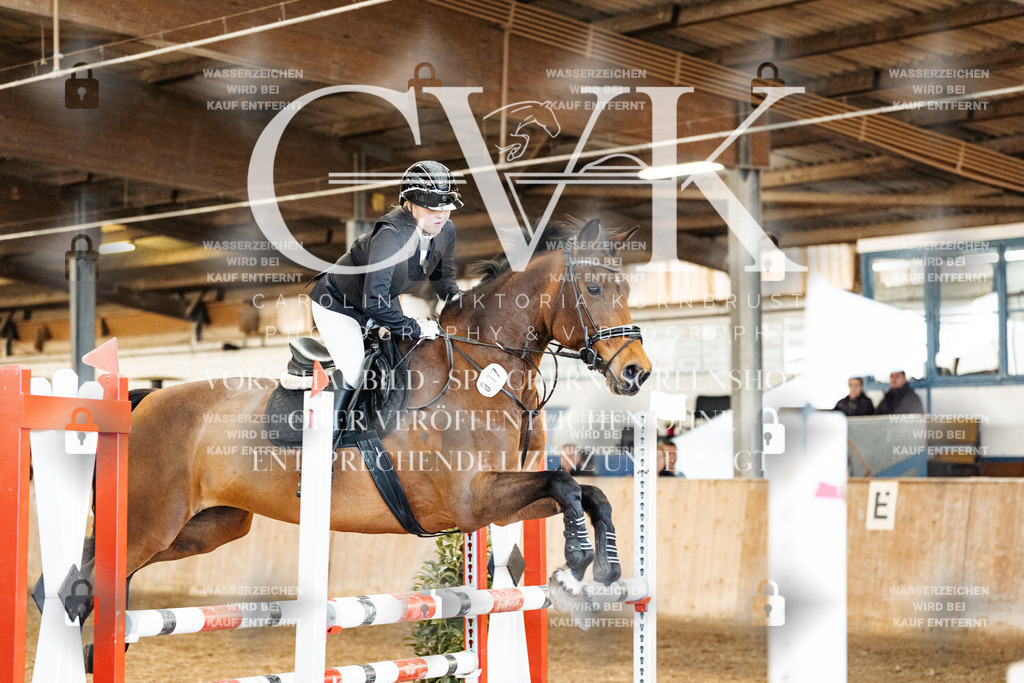CK904864 | Turnierfotografie Pferdefotografie Trier Rheinland-Pfalz Pferdesport Reitsport Tierfotografie Sportfotografie Pferdevideo Pferdevideografie Equestrianvideography equestrianphotography  - Realisiert mit Pictrs.com