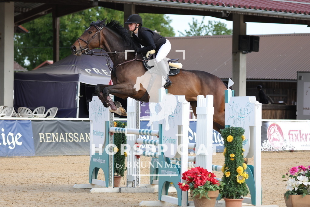 0P6A6150 | Willkommen bei Brunnmayr - Design & Fotografie – Ihrem Spezialisten für Reitturniere und Pferdeveranstaltungen in Oberösterreich, Salzburg und Bayern! Seit über 17 Jahren sind wir leidenschaftlich dabei.