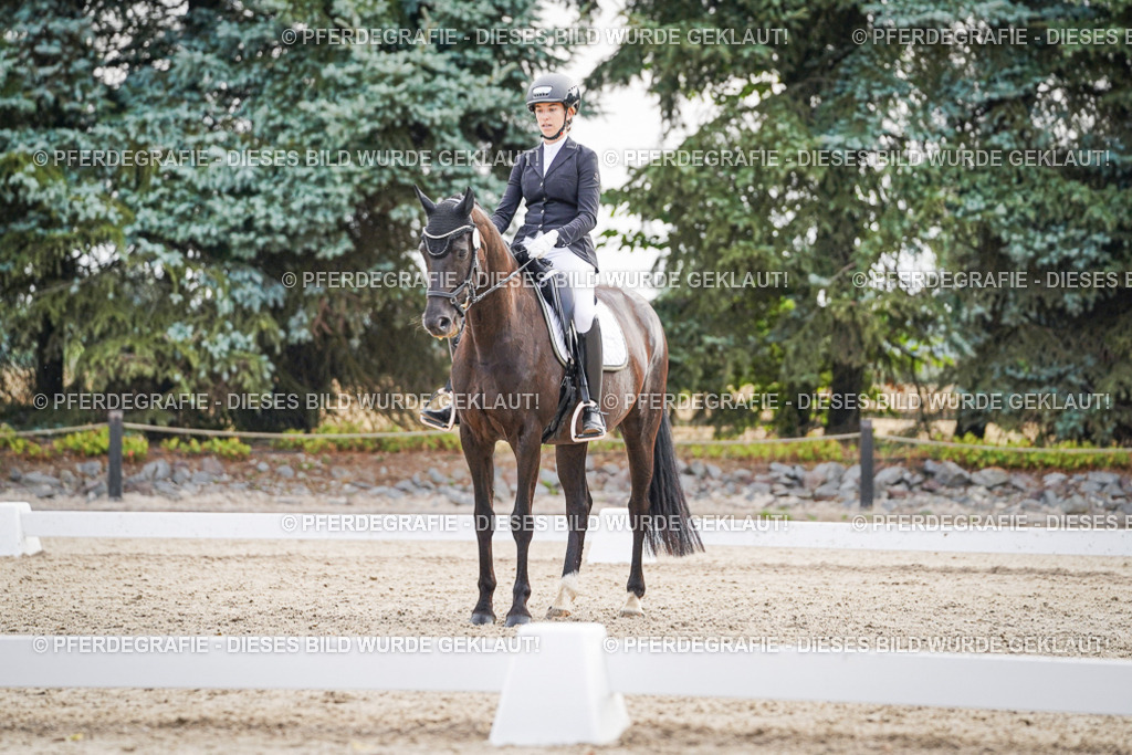 DSC00531 | Pferdegrafie