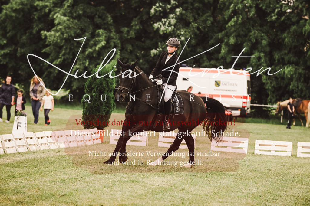 DSC_5109 | Pferde- und Turnierfotografie in Westsachsen. Pferdeportraits, Auftragszeichnungen und intuitive Kunst.
