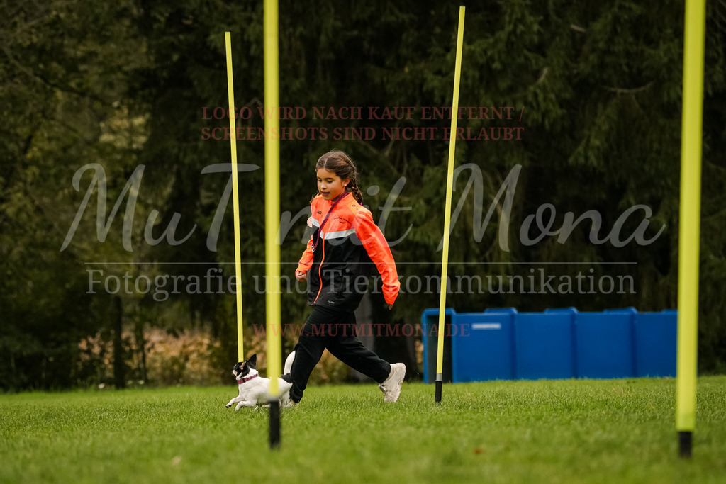 20251005_THS_Turnier-474 | MuT (Mensch und Tier) mit Mona - Fotografie und Tierkommunikation - Realisiert mit Pictrs.com