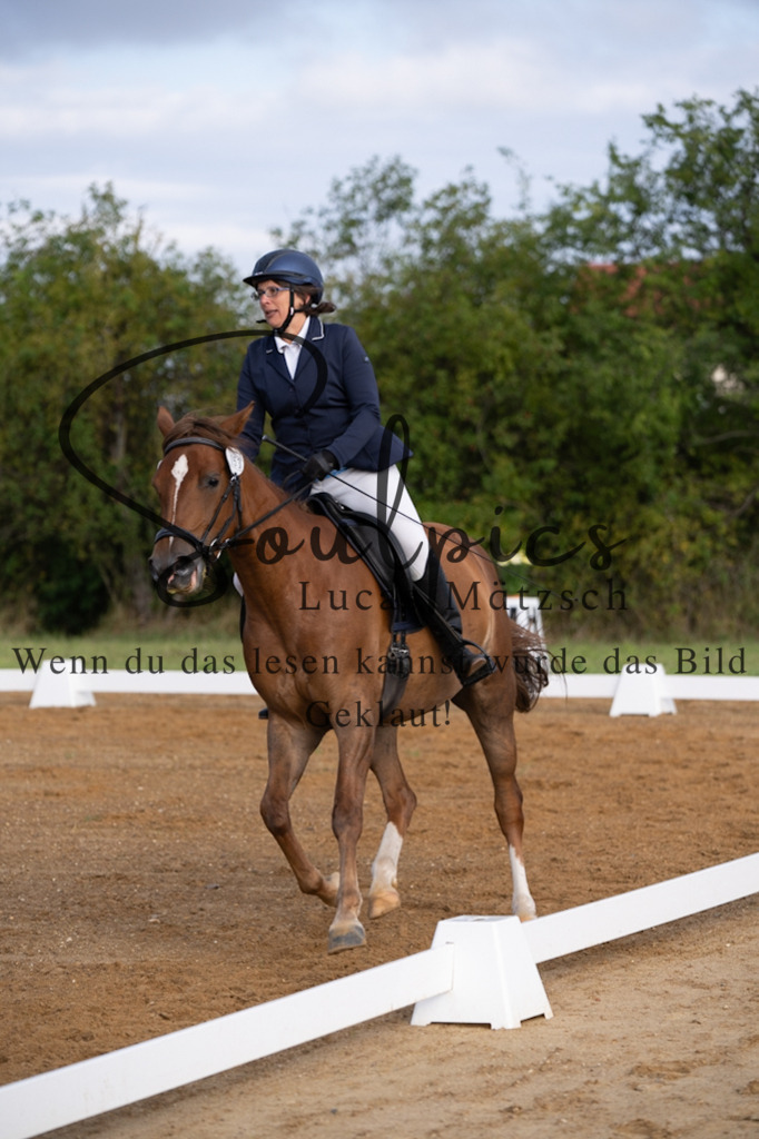 A7V03721 | Turnier/Reitfotograf